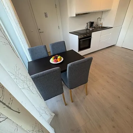 Lisas Apartment, Private New 1 Bedroom And 1 Living With Sofa Bed And Big Windows, Share With Nobody, No Parties オスロ
