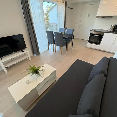 Lisas Apartment, Private New 1 Bedroom And 1 Living With Sofa Bed And Big Windows, Share With Nobody, No Parties アパート オスロ