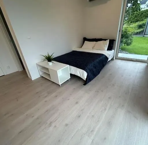 Apartman Lisas Apartment, Private New 1 Bedroom And 1 Living With Sofa Bed And Big Windows, Share With Nobody *